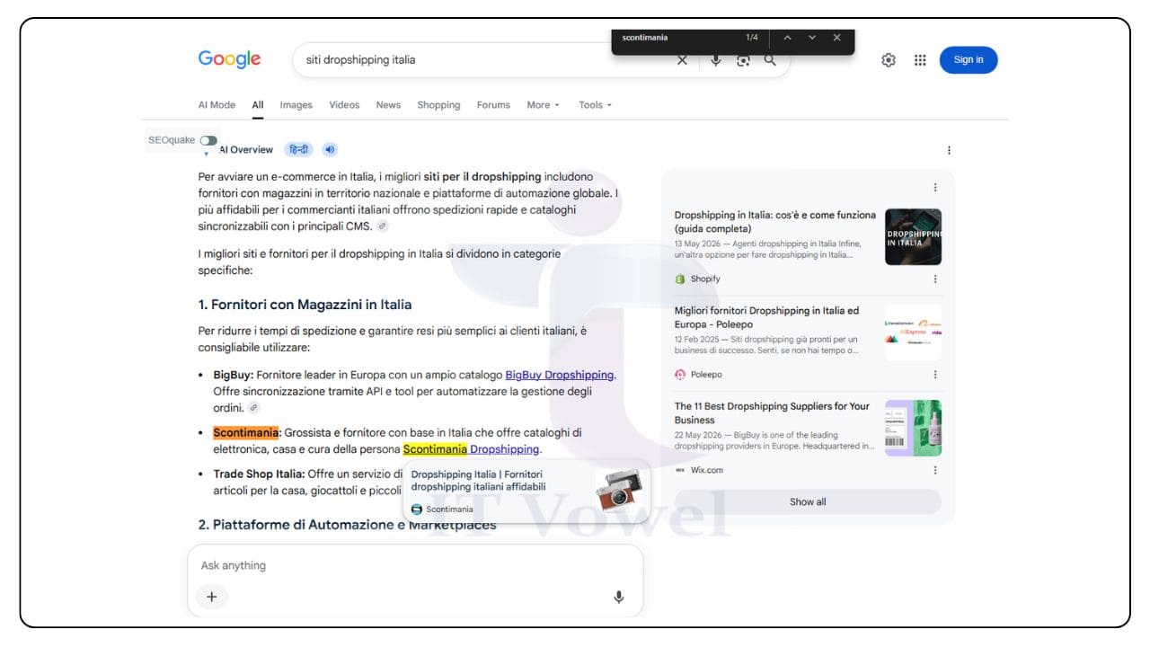 AI ranking portfolio for an Italy dropshipping website in Google AI Overview
